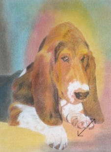 portret in pastelkrijt