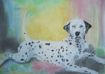 portret in pastelkrijt