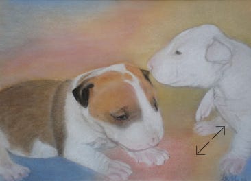 portret in pastelkrijt