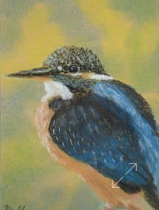 portret in pastelkrijt