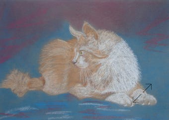 portret in pastelkrijt