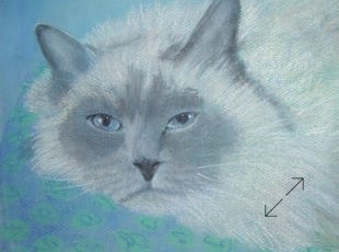 portret in pastelkrijt