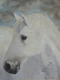 portret in pastelkrijt