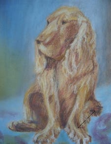 portret in pastelkrijt