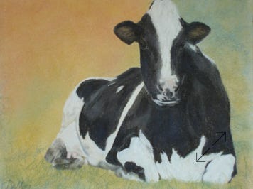 portret in pastelkrijt