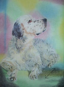 portret in pastelkrijt